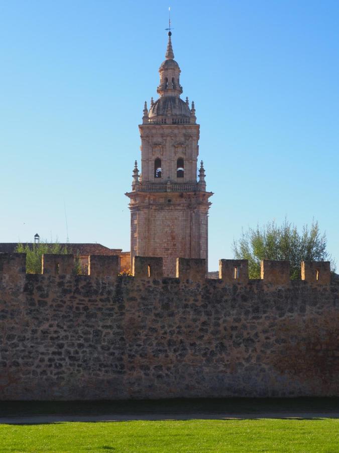 La Casona Del Zoilo -Los Arenales- Бурго-де-Осма Экстерьер фото